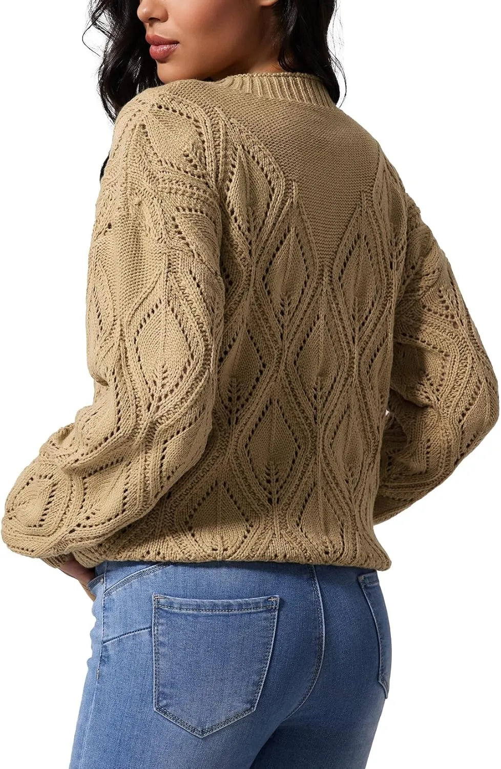 Allimy Women's 2025 Elegant Crewneck Crochet Cable Knit Sweaters for Women Openwork Fall Outfits